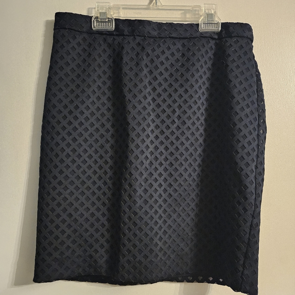 Dark Blue Skirt